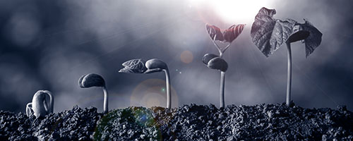 317003_4 317003_4