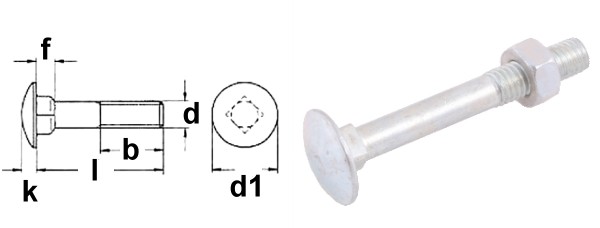 Carriage bolts SW 17