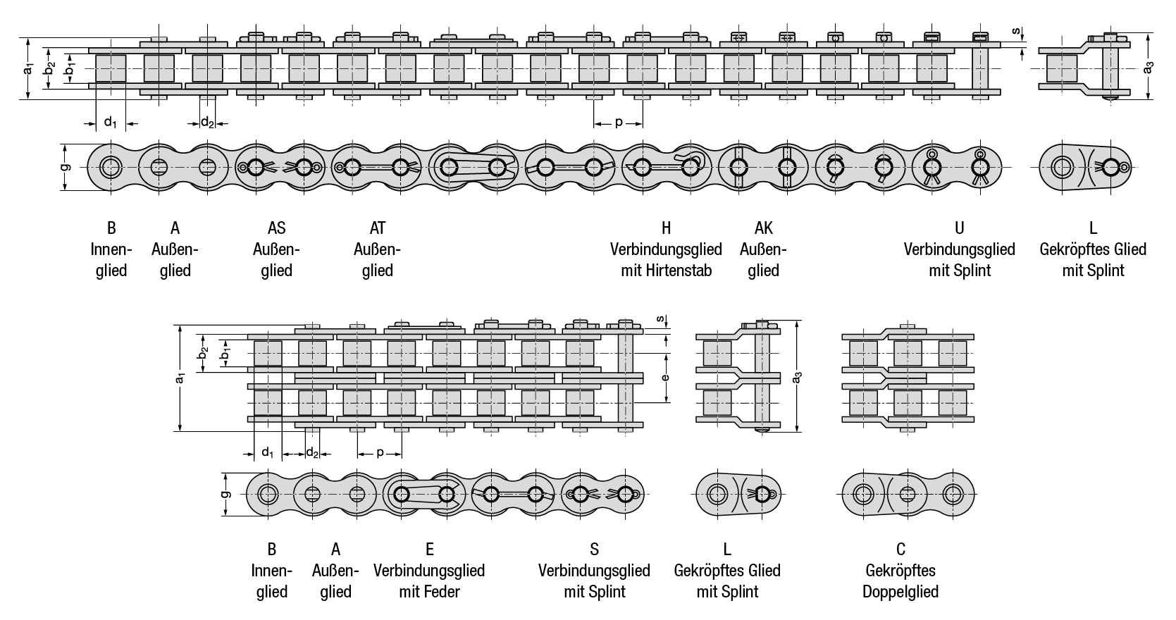 REXNORD Rollenkette